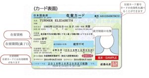 The-surface-of the-residence-card-that-foreign-nationals-staying-in-Japan-for-medium-to-long-term-are-obliged-to-carry